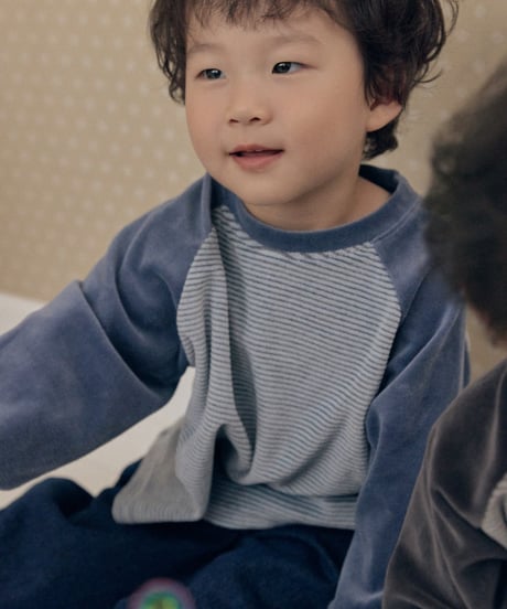 14[予約]送料無料 the beige velvet striped tee