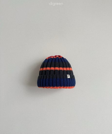 47[予約]digreen multi beanie