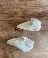 48[予約]anneshirley agnes socks