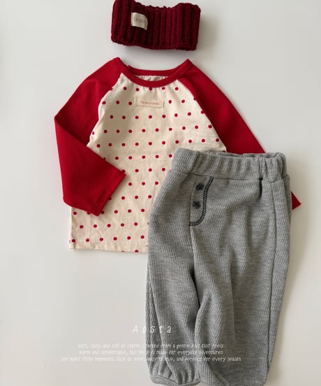11[予約]Aosta dot raglan t