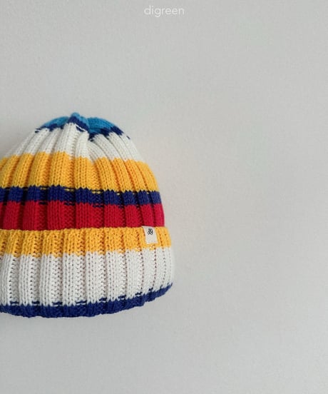 47[予約]digreen multi beanie