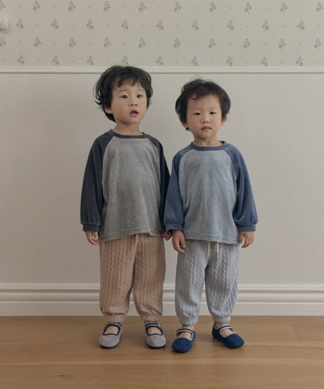 14[予約]送料無料 the beige velvet striped tee
