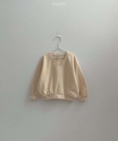 28[予約]digreen teddy v mtm