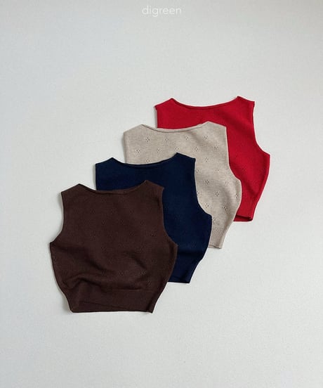 38[予約]digreen more vest