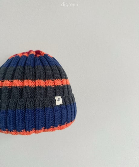 47[予約]digreen multi beanie