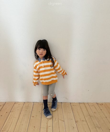 34[予約]digreen striped collar mtm