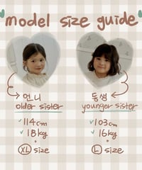 go go picnic model size