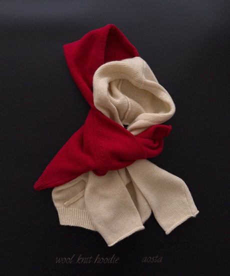 10[予約]Aosta knit cookie hoodie