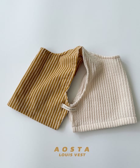 27[予約]Aosta louis vest