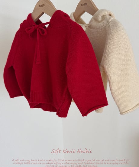 10[予約]Aosta knit cookie hoodie