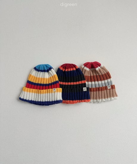 47[予約]digreen multi beanie