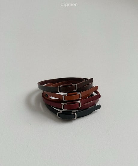 48[予約]digreen square belt