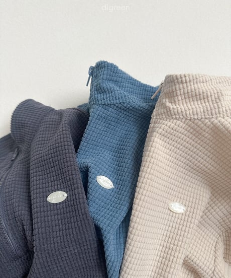 32[予約]digreen denny half zip