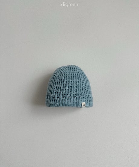 46[予約]digreen eyelet beanie