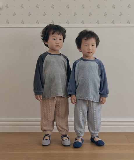 14[予約]送料無料 the beige velvet striped tee