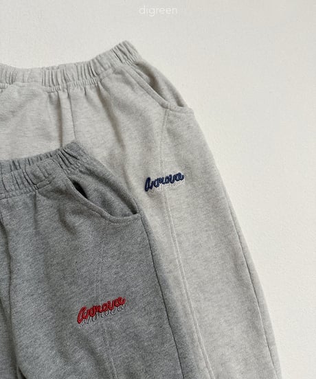 33[予約]digreen marco jogger pants