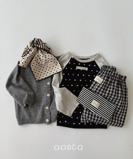 11[予約]Aosta dot raglan t