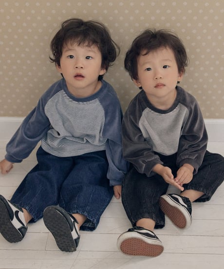 14[予約]送料無料 the beige velvet striped tee