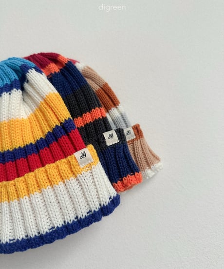 47[予約]digreen multi beanie