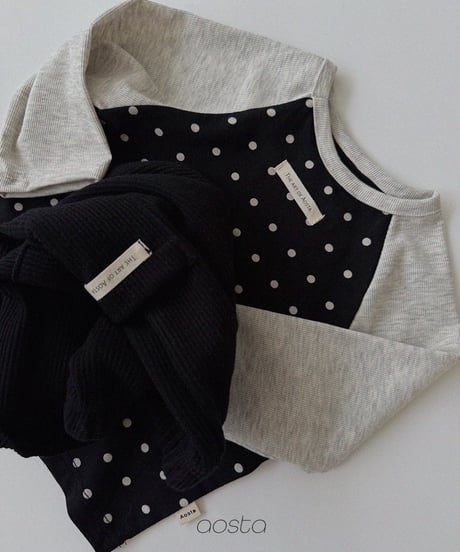 11[予約]Aosta dot raglan t