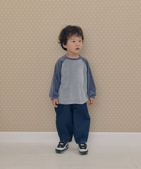 14[予約]送料無料 the beige velvet striped tee