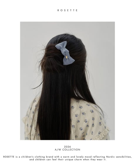 38[予約]ROSETTE rollin hairpin set