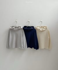3[予約]digreen pobi hoodie