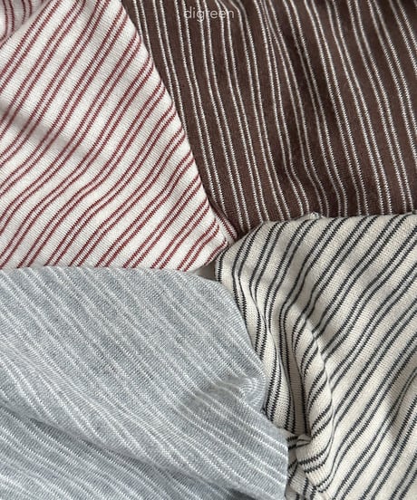 9[予約]digreen stripe latte tee