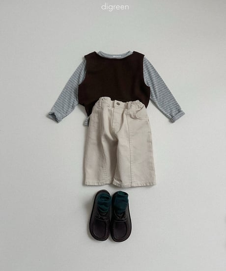 38[予約]digreen more vest