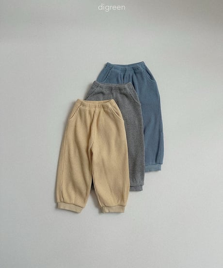 15[予約]digreen flat waffle pants