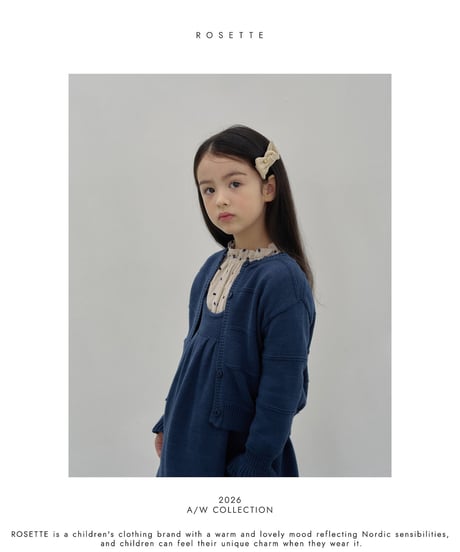 38[予約]ROSETTE rollin hairpin set