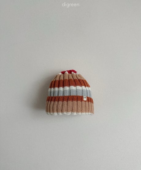 47[予約]digreen multi beanie