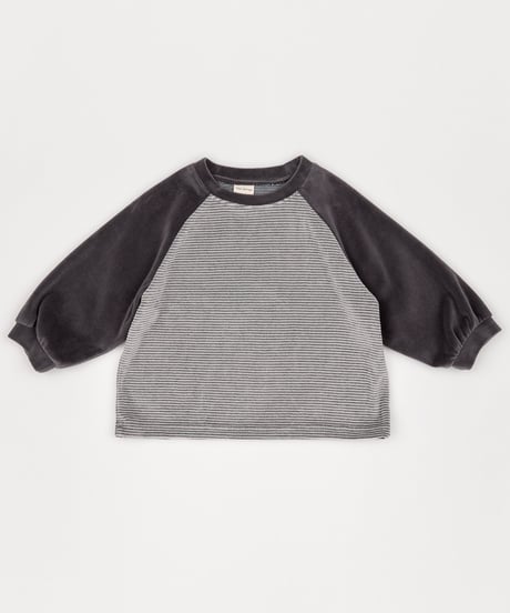 14[予約]送料無料 the beige velvet striped tee