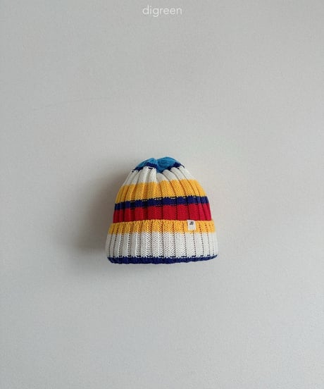 47[予約]digreen multi beanie