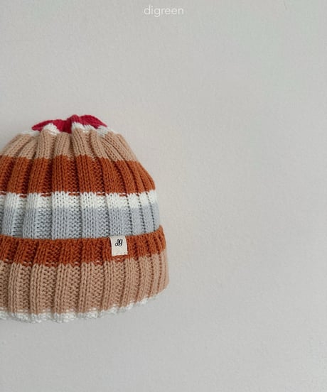 47[予約]digreen multi beanie