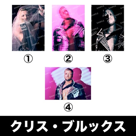 【受注商品】DDPE 複製パネル