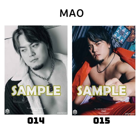 【サイン会対象商品】新作ポートレート