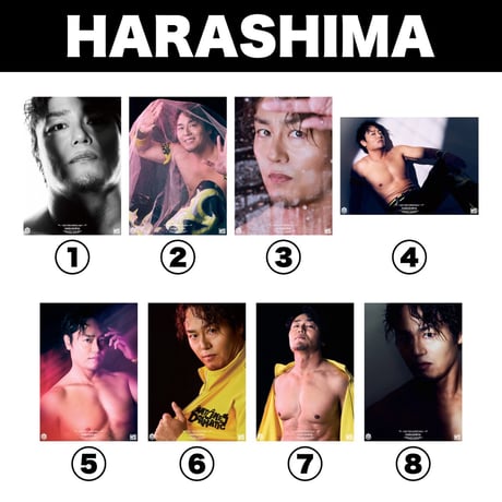 【限定商品】DDPE ポートレート  HARASHIMA男色平田