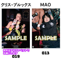 【サイン会対象商品】新作ポートレート