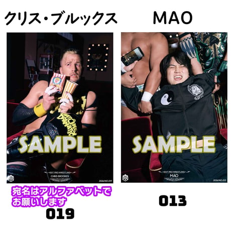 【サイン会対象商品】新作ポートレート