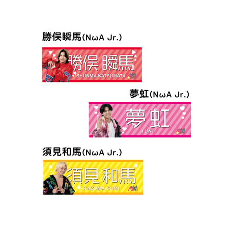 【受注商品】DDTオフィシャルビジュアルタオル2026