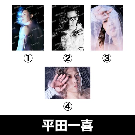 【受注商品】DDPE 複製パネル