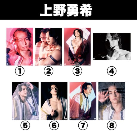 【限定商品】DDPE ポートレート 上野 勝俣 To-y