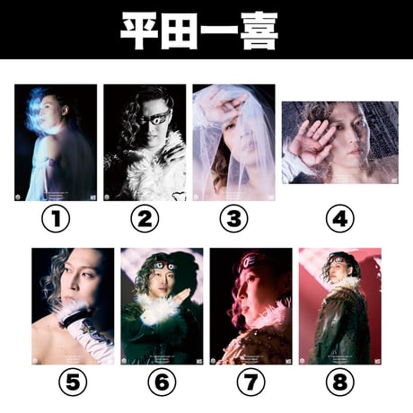 【限定商品】DDPE ポートレート  HARASHIMA男色平田