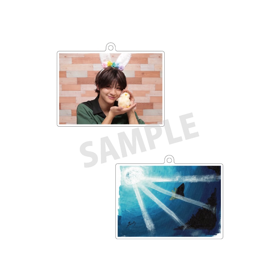 6a4ddc816cb14b18702ca884