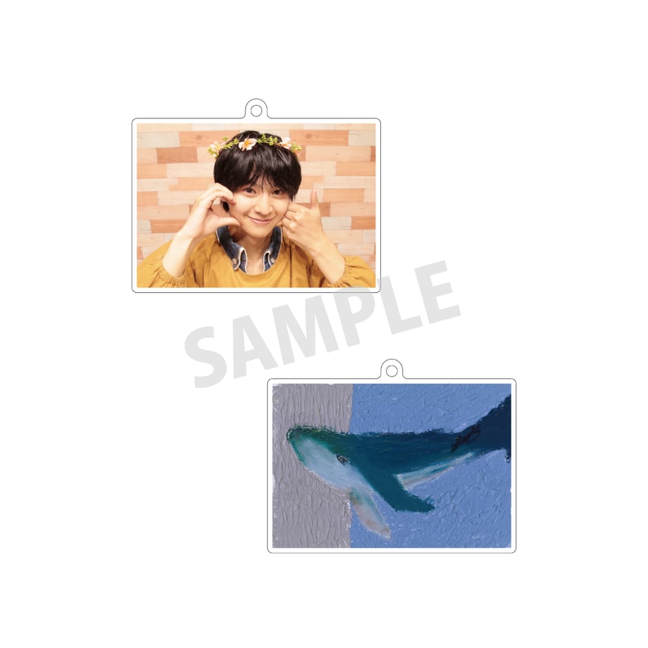6a4ddc816cb14b18702ca884