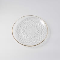 田井将博　小波大皿Φ220