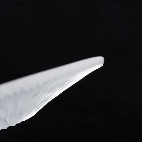 大迫友紀　白い菊 小