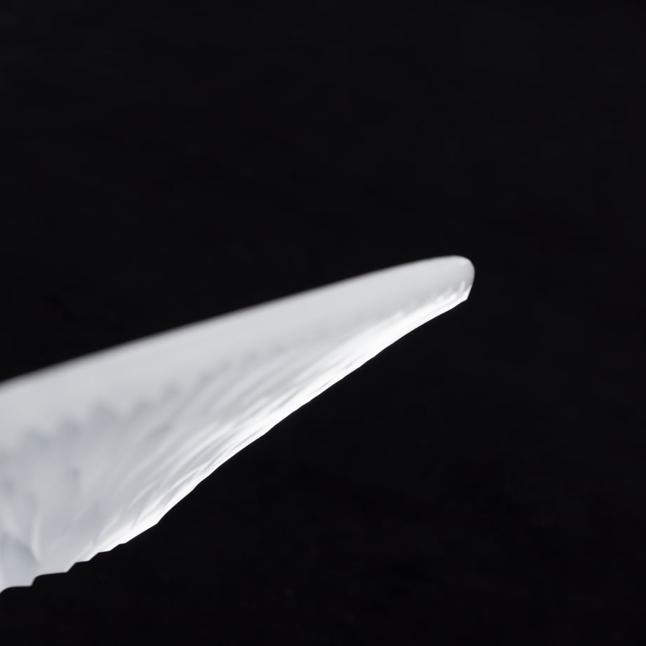 6a56c7612d349600013d7584