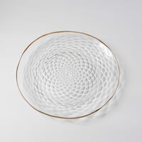 田井将博　小波大皿Φ250
